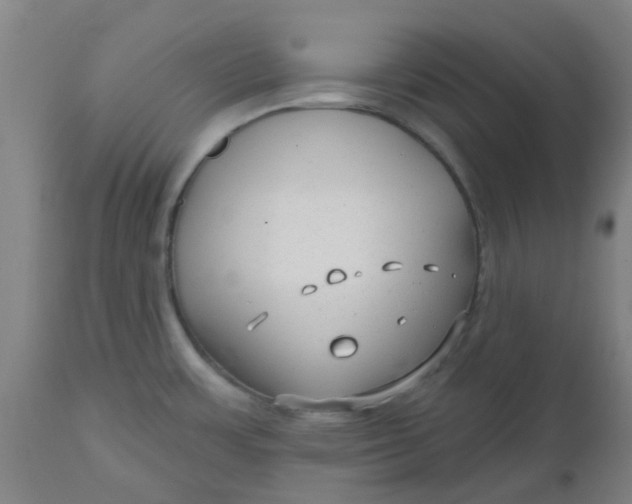 X0000112481483200909071145