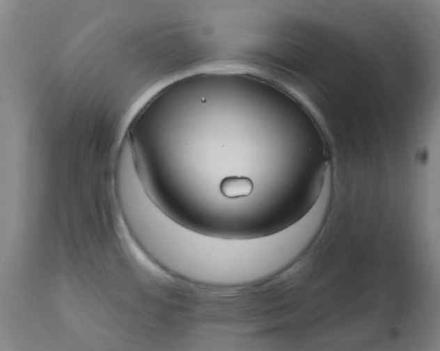 X0000112481484200909071145