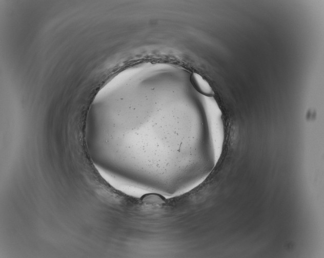 X0000112481489200909071144