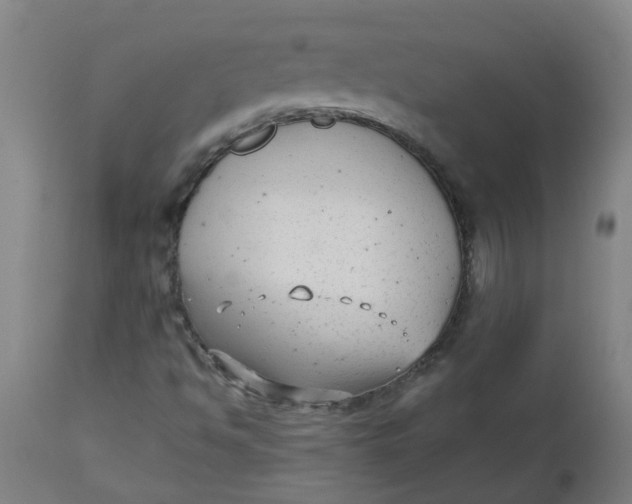 X0000112481494200909071144