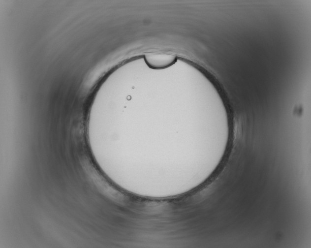 X0000112481498200909071144