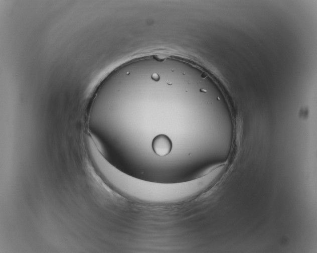 X0000112481500200909071144