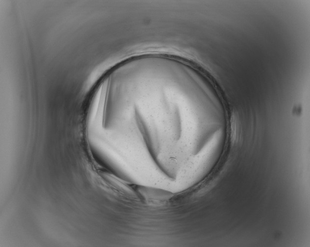 X0000112481501200909071144