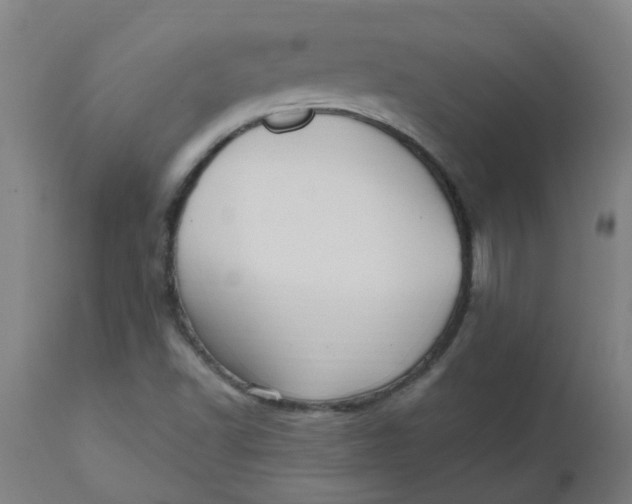 X0000112481502200909071144