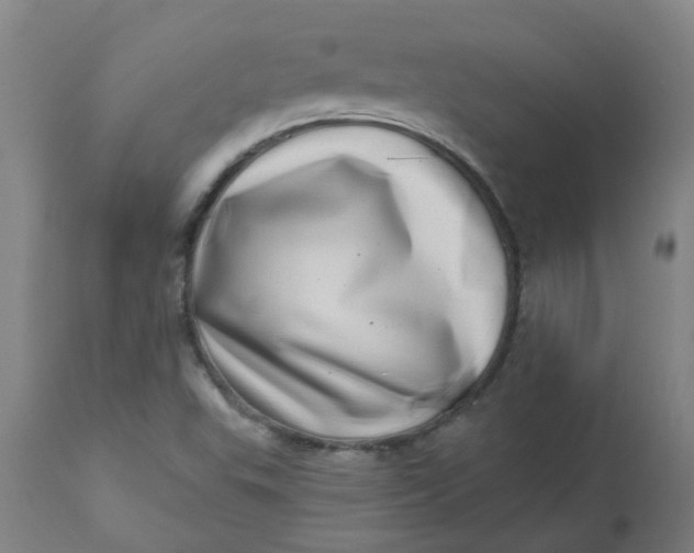 X0000112481503200909071144