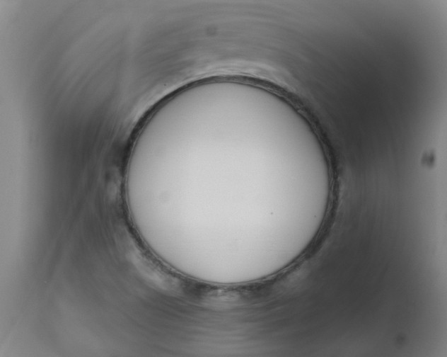 X0000112481505200909071144