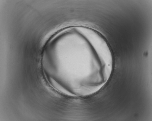 X0000112481507200909071144