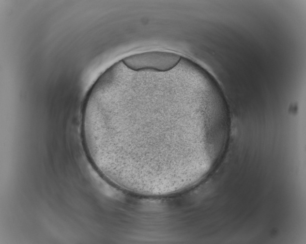 X0000112481508200909071144