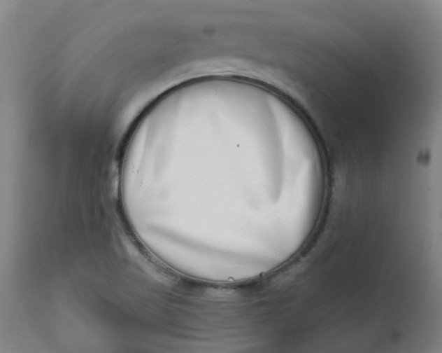 X0000112481509200909071144