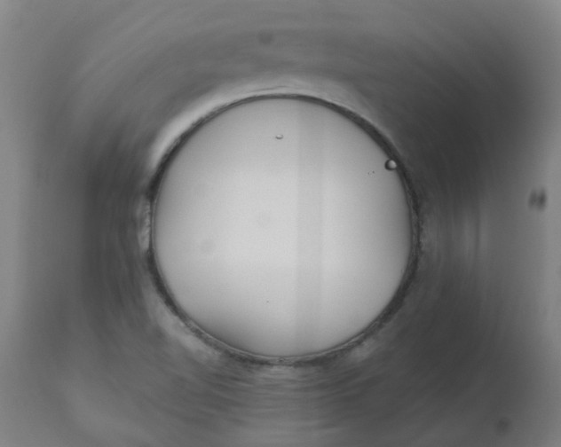 X0000112481510200909071144