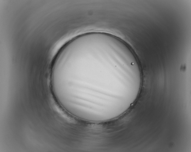 X0000112481511200909071145