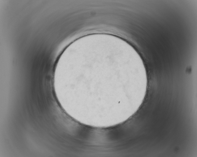 X0000112481514200909071145