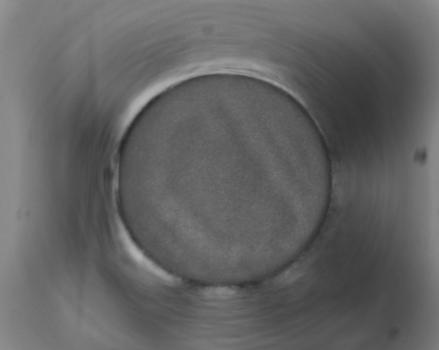 X0000112481515200909071145