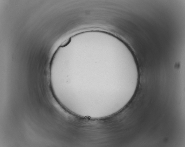 X0000112481516200909071145