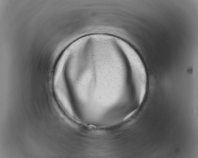 X0000112481517200909071145