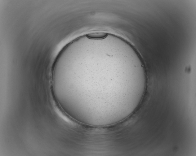 X0000112481519200909071145