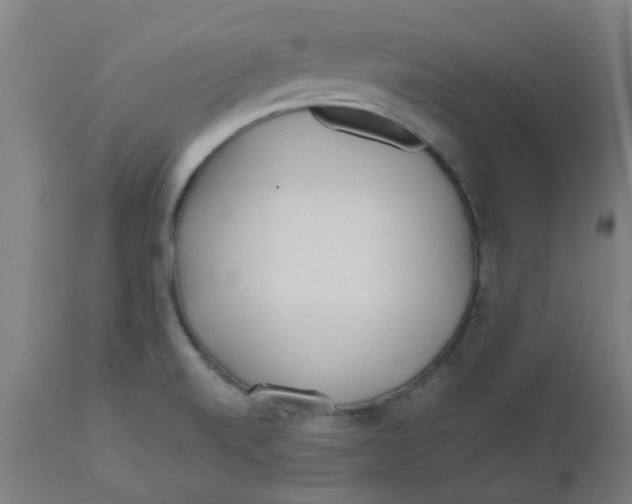 X0000112481520200909071145