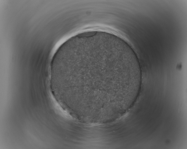 X0000112481522200909071145