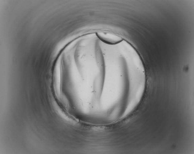 X0000112481523200909071145