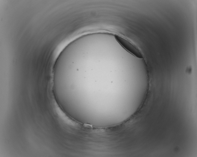 X0000112481524200909071145