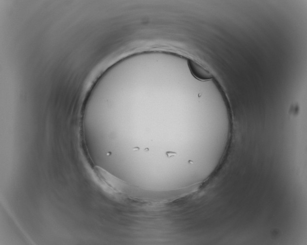 X0000112481525200909071145