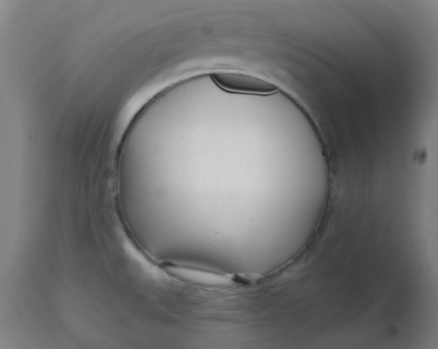 X0000112481527200909071145