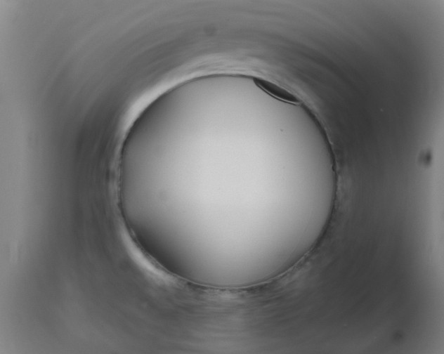 X0000112481528200909071145