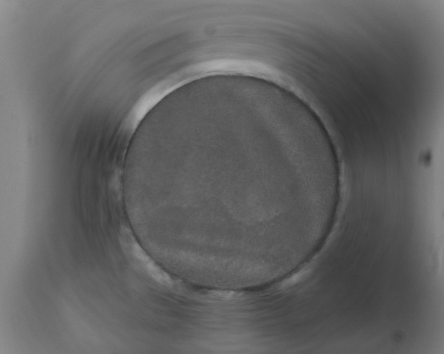 X0000112481529200909071145