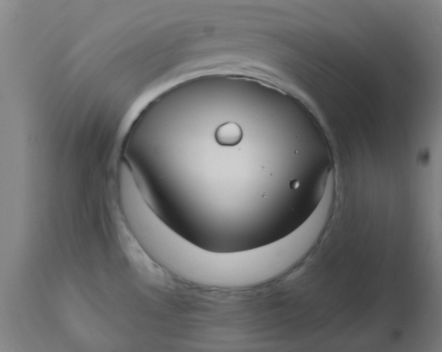 X0000112481530200909071145