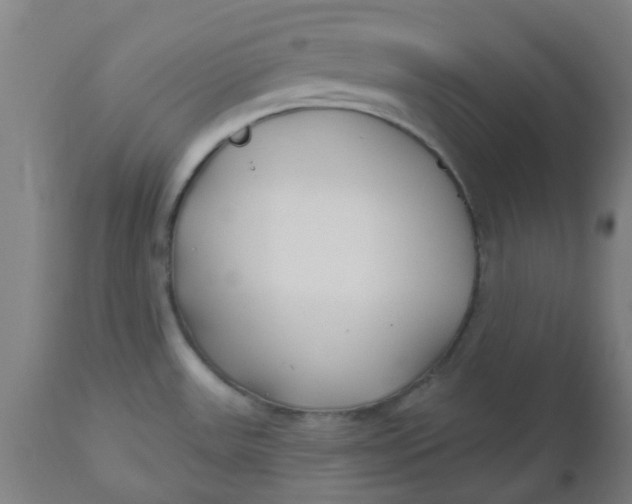 X0000112481531200909071145