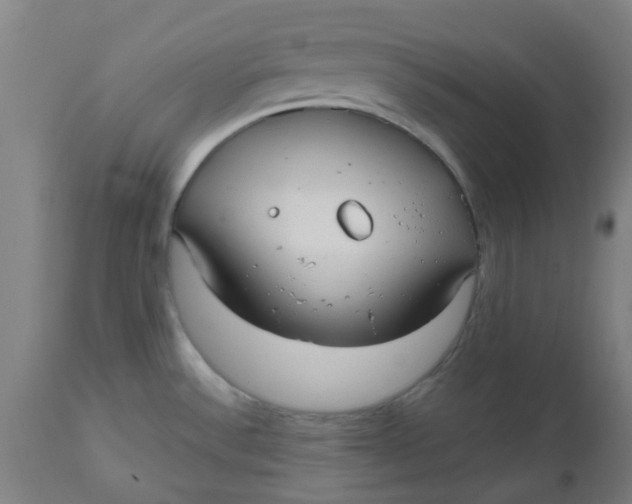 X0000112481532200909071145