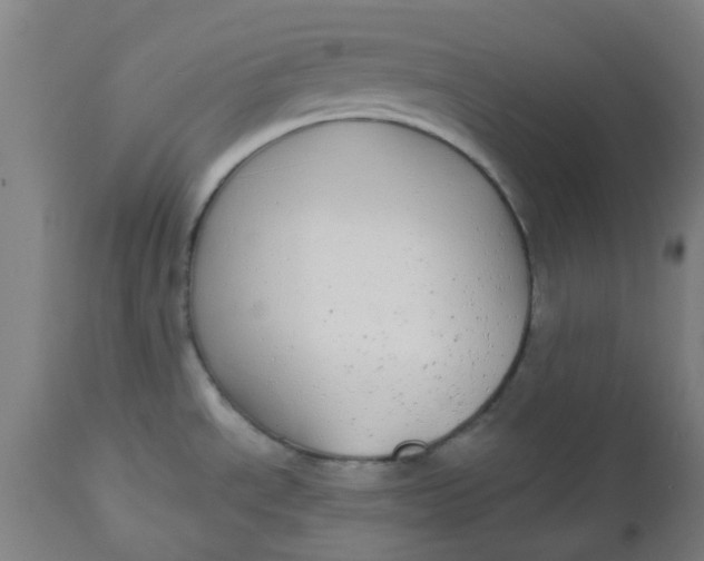 X0000112481534200909071145