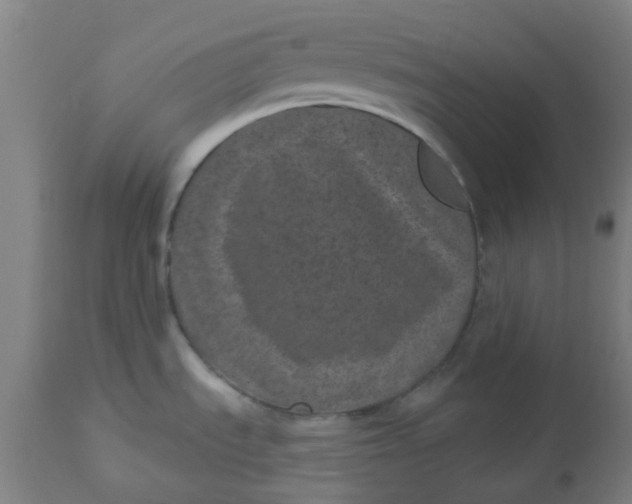 X0000112481535200909071145