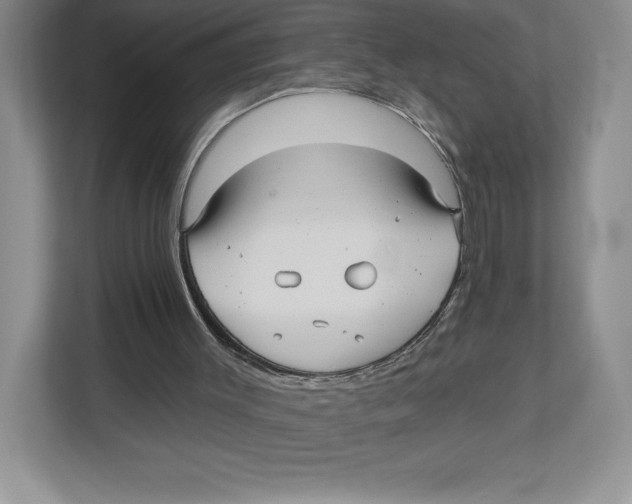 X0000112480003200909141153