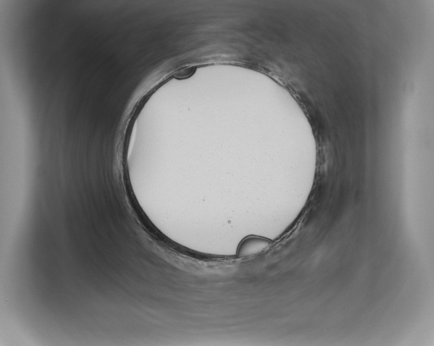 X0000112480004200909141153