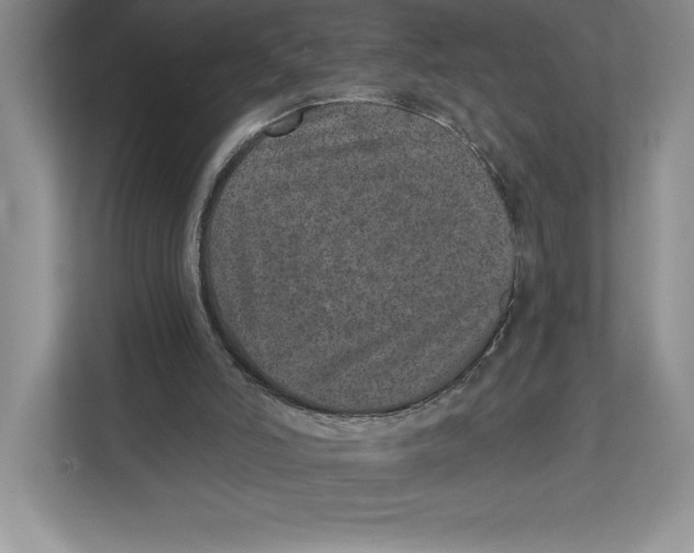 X0000112480006200909141153