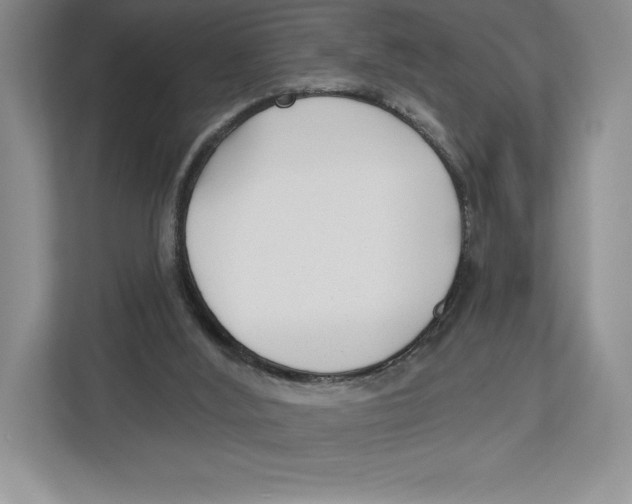 X0000112480012200909141153