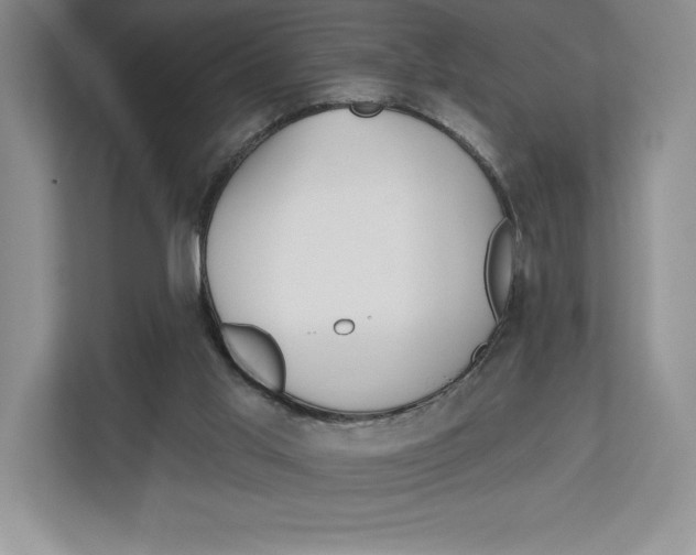 X0000112480013200909141153