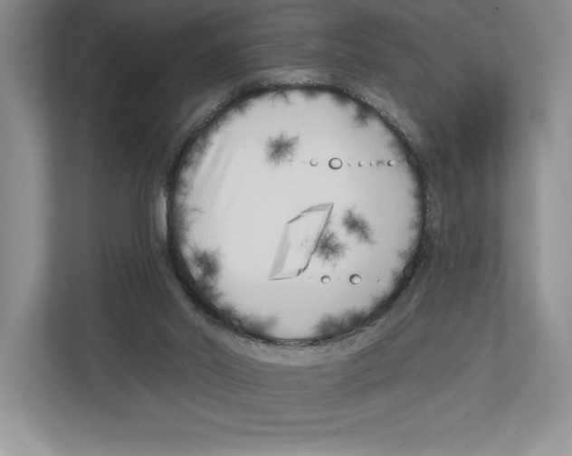 X0000112480014200909141153