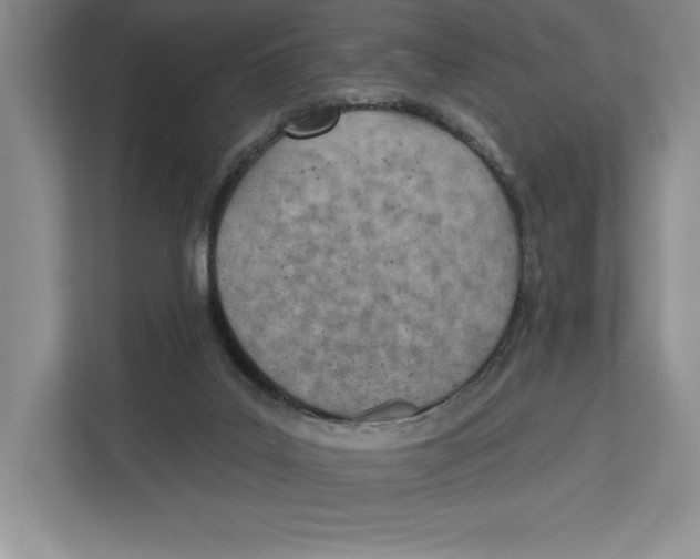 X0000112480019200909141153