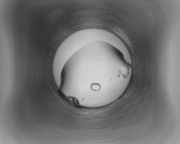 X0000112480021200909141153