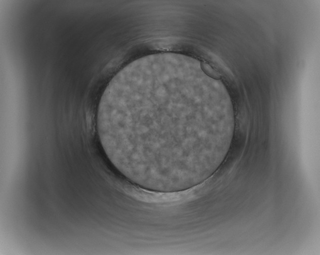 X0000112480031200909141152