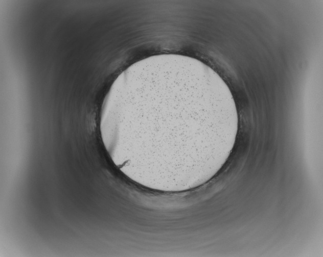 X0000112480032200909141152