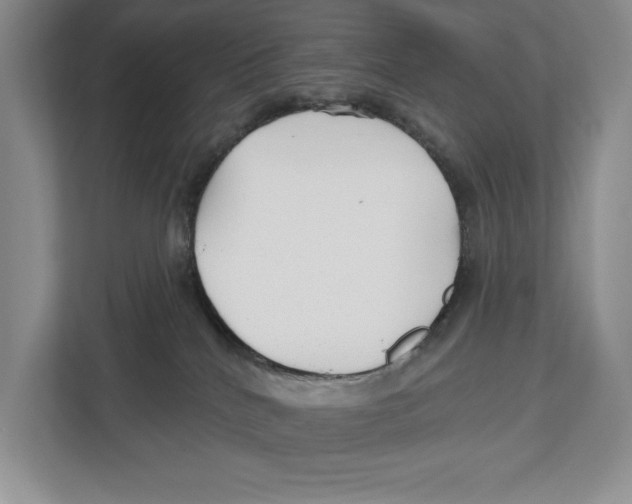 X0000112480040200909141152