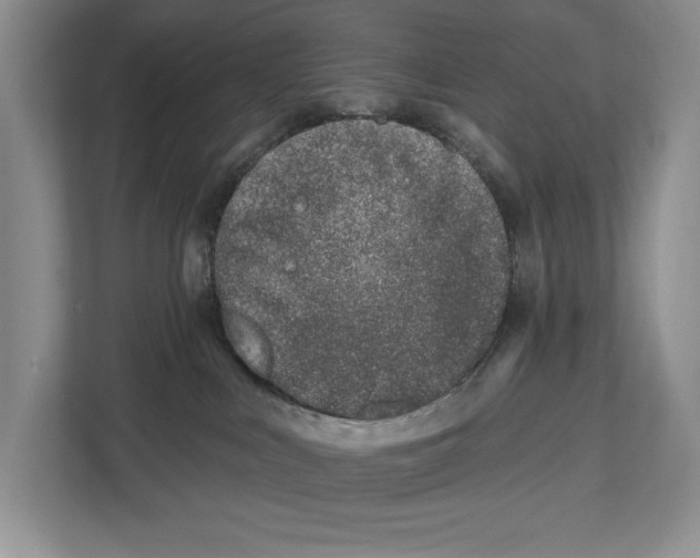 X0000112480043200909141152