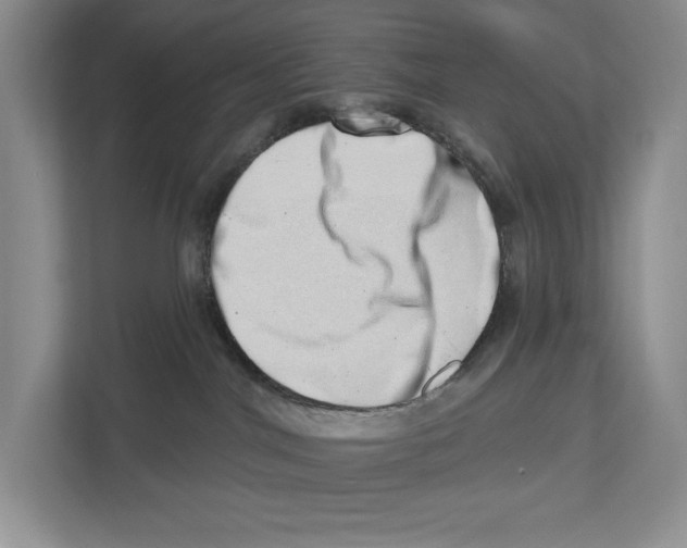 X0000112480044200909141152