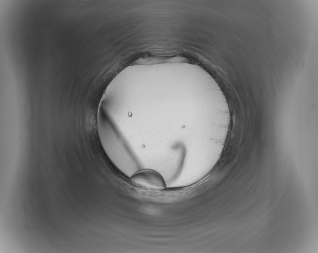 X0000112480048200909141152