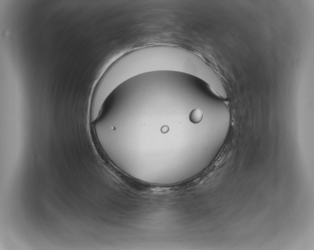 X0000112480052200909141152