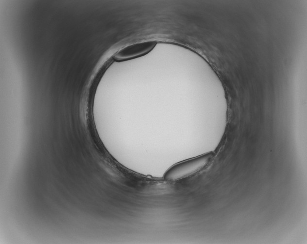 X0000112480056200909141152