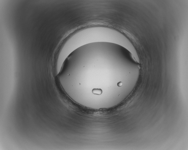 X0000112480064200909141152